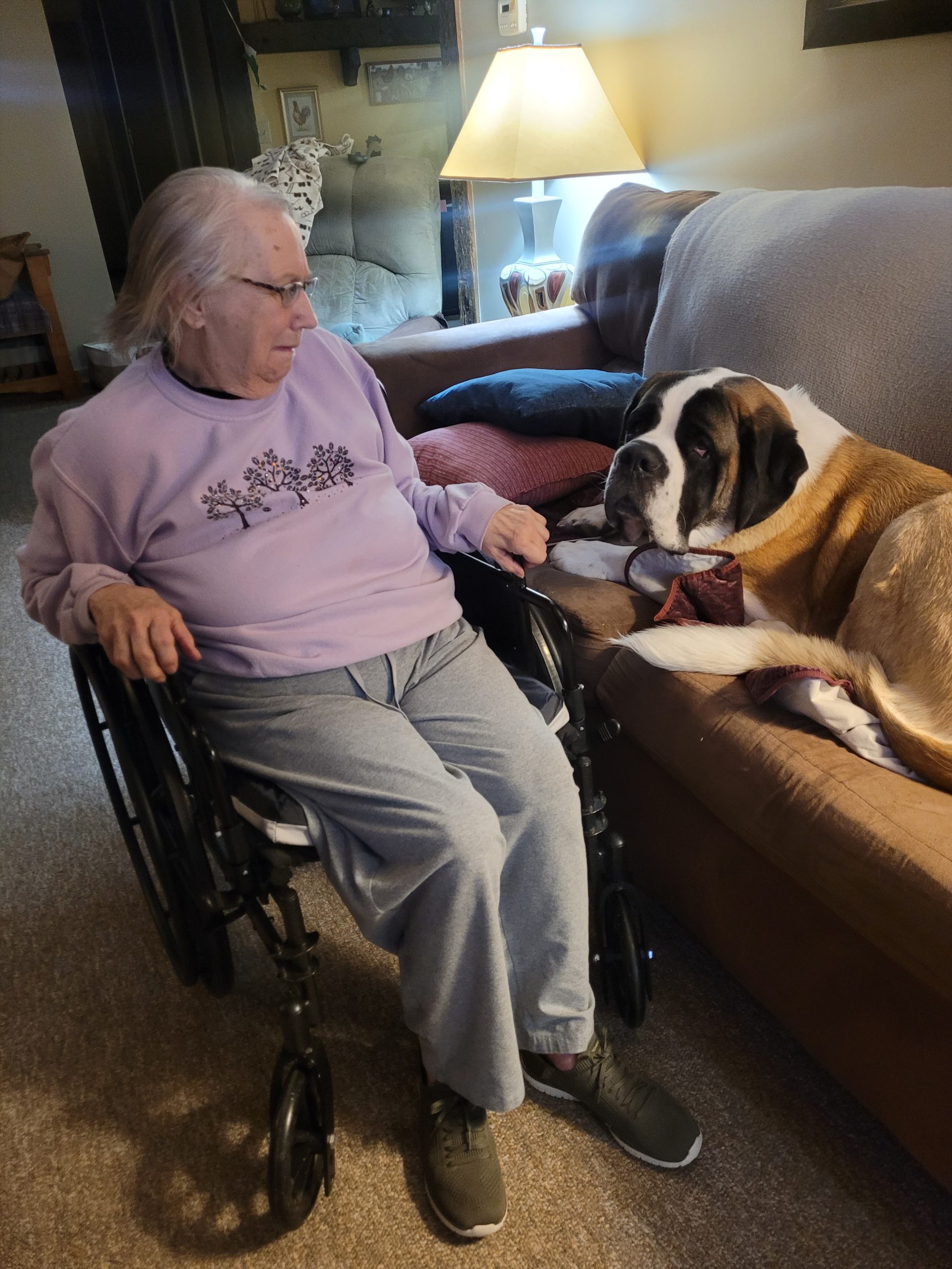 Women siting with a dog laying on a couch